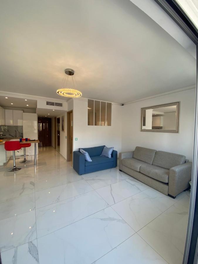 Le Royal, Spacious Seaside Apartment Rooftop And Pool 尼斯 外观 照片