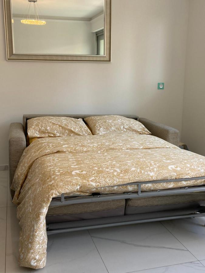 Le Royal, Spacious Seaside Apartment Rooftop And Pool 尼斯 外观 照片