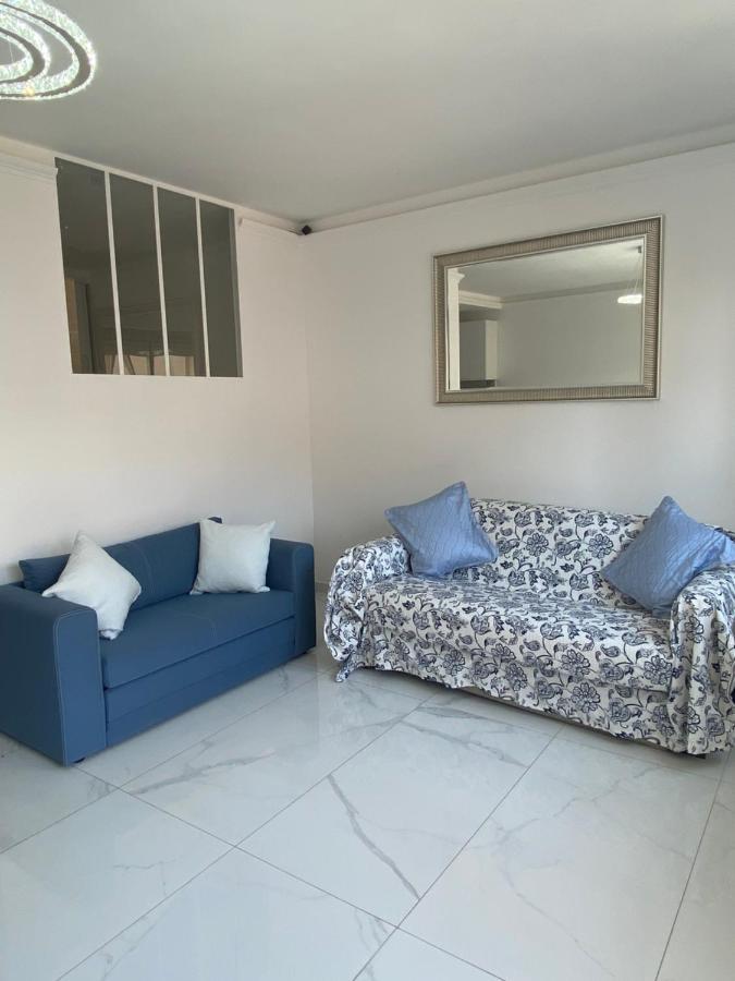 Le Royal, Spacious Seaside Apartment Rooftop And Pool 尼斯 外观 照片
